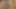 Azgın seksi büyük göt ve ateşli vücutlu büyük yaraklı öğretmen seksi tangayla mastürbasyon yapıyor