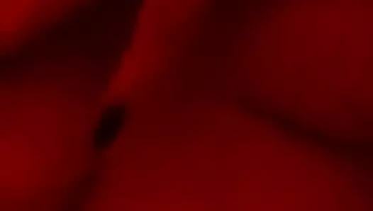 Hodea alexandra sürtme kedi