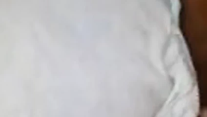 Yine benim Jamaikalı kedi