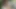 Lucy Thai anal seks ve çifte penetrasyon içeren açık havada üçlü grup seks fotoğraf çekimine katılıyor