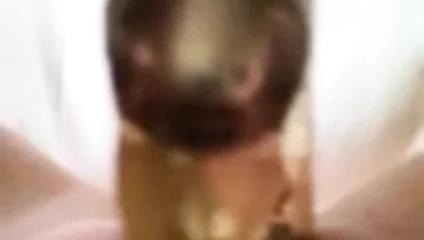 Norveçli ustam için orgazm