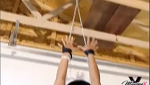 Maxine X binada bağlı