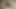 BBW geile Titten