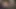 Orta yaşlı seksi kadın kaygan yarak emiyor