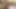 Full hd. tam edepsiz şey. Adam amımı kızardı. Çığlık atmaktan sıkıldım ama adam neredeyse amımı parçalıyordu.