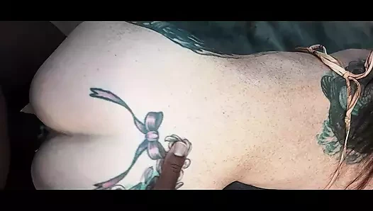 Jay kış aylarında yaz mevsiminde