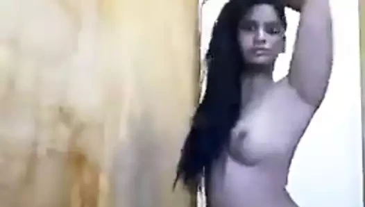 Vilama cinsel vücut