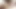 Buharlı sıcak lezbo cuties tapıyorum Mastürbasyon birlikte