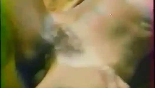 Ahlaksızlık Soruşturması (1977)