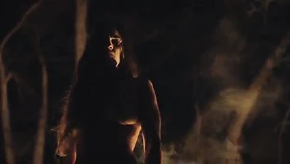 Hilary Swank - ev adamı