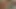 teen hazır için bir güzel büyük horoz