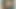 Makasla güreşen üstsüz kadın akademisi