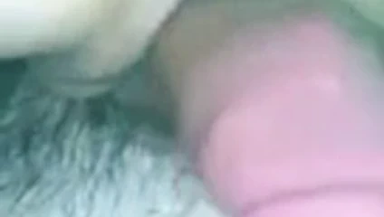 Sıcak kedi binicilik güzel horoz