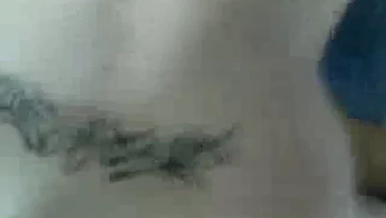 belle levrette avec tatouage