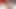 Onlyfans leak, teasing and edging a thick throbbing cock until explosion, Close up Blowjob Red Lipstick Redhead