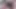 Nina Roberts ateşli latinlerle Fransız lezbiyen grup seks - sert dildo sikişi