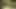 Step Father's Day. Stepdad fucks his stepdaughter,  and ends up cumming inside her when her cuckold mother is not at home
