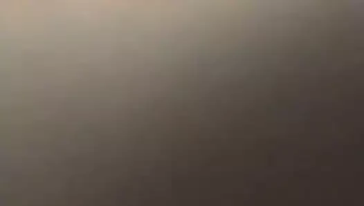 Değnek üzerinde benim ıslak kedi