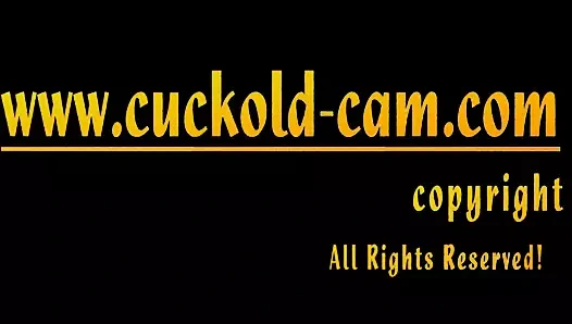 Aldatılan quasimodo can sadece izlemek süre usta yalamak onu kedi