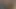 Hintli amcık