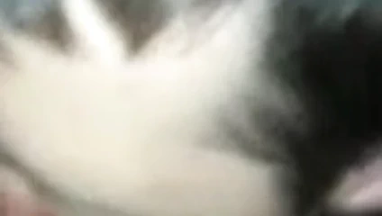 Rusya! adam adamı emiyor