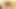 Seksi lezbiyenler yatak odasında 69 pozisyonunda amcık yalıyor