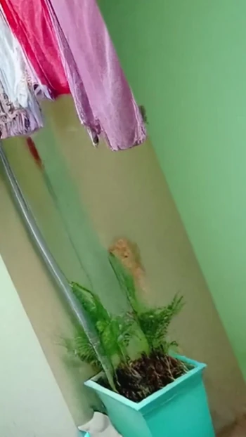 Эпический момент из "Индийского секса сводной сестры колледжа с выставлением одежды до высыхания"