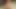 Seksi kız iki yarak deliklerini sikip boşalmak için eğiliyor