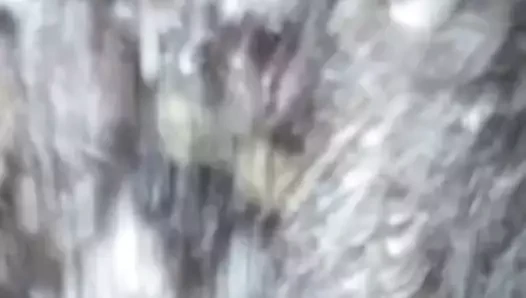 emmek için yapılmış Kanadalı