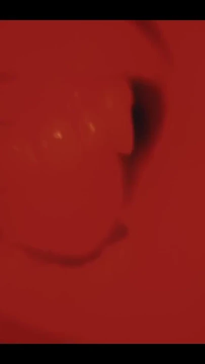 Cosplay lezbiyen vampir seks - dominant bdsm deri kızlar amcık yeme seansı | Klip 1