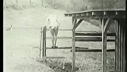 şeker paige nazlı tatlılar hayır. 71