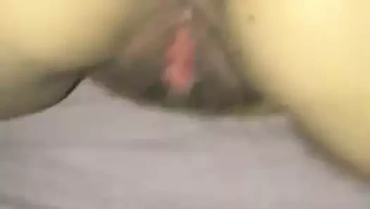 Sulu şişman kedi
