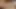 A naked MILF with beautiful big breasts jerks off her husband's cock and makes him cum on her nipples