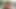 Bu kız emiyor - minyon genç kız kıyafetlerini çıkarıyor ve rıhtımda erkek arkadaşlarının yarağını emiyor