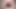 Pawg farklı dildolara binen sulu göt derleme videosu Anna Mole.