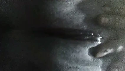 benim Endonezya hizmetçi pt