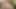 Naked old perv masturbating, daddy masturbates
