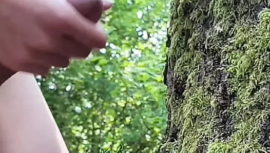 niunaizai video görüşmesi sırasında modüle ediliyor ve kamuya cumming