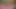 Dövmeli güzellik Evee şehvetli bir şekilde esnetiyor, çıplak soyunuyor, sırılsıklam amını parmaklıyor ve ilkel bir çığlıkla sertçe boşalıyor.