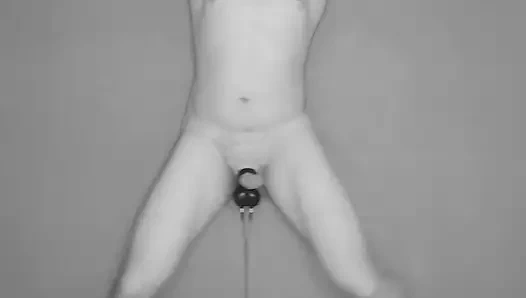 Deney: testislerin elektro stimülasyonu