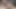 Kıllı adam açık havada duşta götüne dildo sokuyor ve boşalıyor