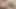 Davet ettiği üç seksi kızdan biri minik yarağını emdiriyor