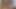 Sevimli Hintli evli kadın kocasıyla sikişiyor