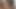 Güzel kız fotoğrafçı tarafından sikiliyor