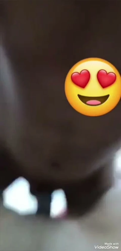 Bakire 18+ kız arkadaş otel odasında bekaretini kaybediyor | Klip 1