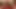 Orta yaşlı seksi iri güzel kadın külotlu siyah yarağa binmeyi seviyor