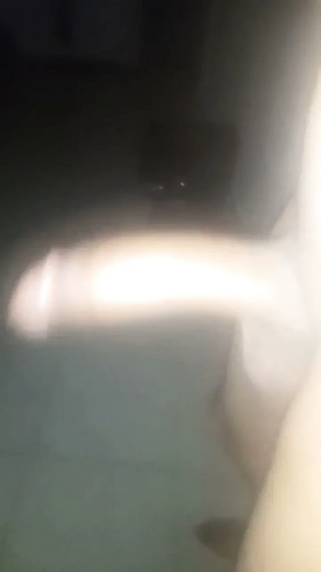 Seni sikmek istiyorum
