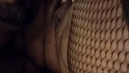 yeme kıllı Latin KEDİ