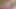 Kalın götlü orta yaşlı seksi kadın ivy mae çıplak yoga ve mastürbasyon
