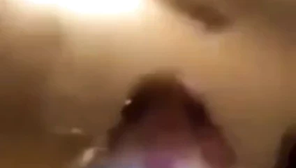 Hamster Fan